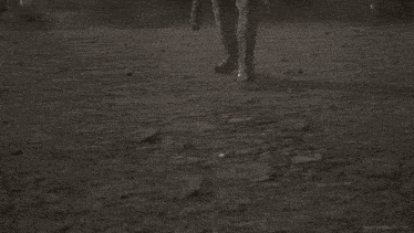 Negan The Walking Dead GIF