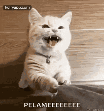 No Reason But Always Shouting Maa Amma GIF