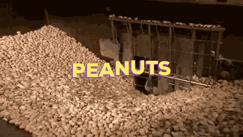 Peanuts Peanut GIF