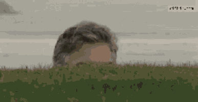 Peek George Clooney GIF