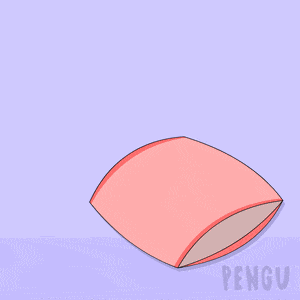 Pengu Pudgy GIF