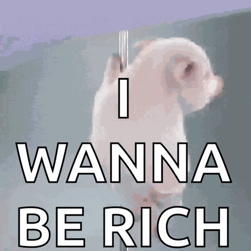 Porquinho Polidance GIF