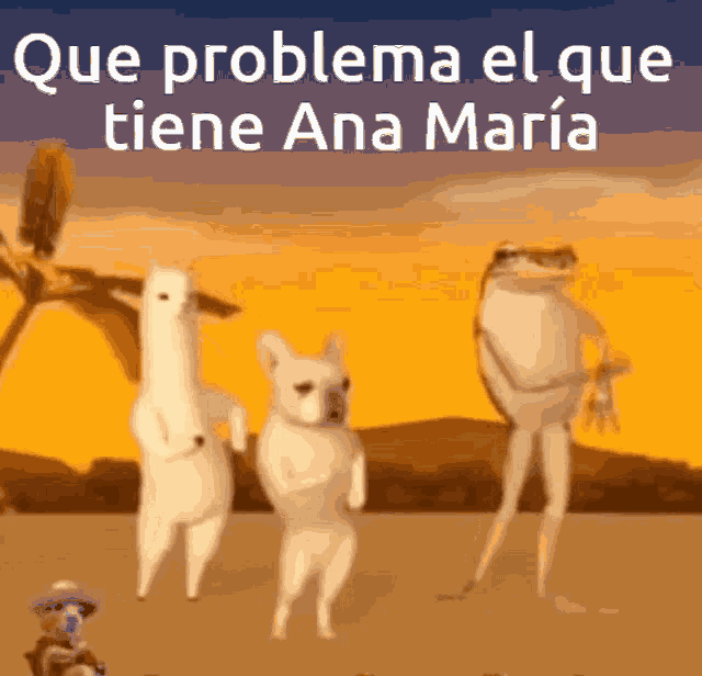 Que Problema El Que Tiene Ana Maria Cumbia GIF