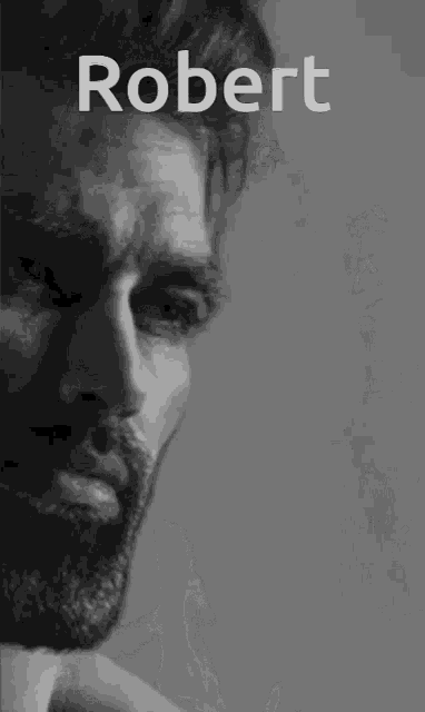 Robert GIF