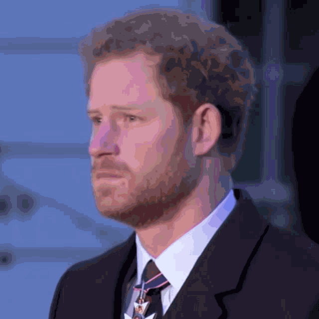 Royals Royal Family GIF