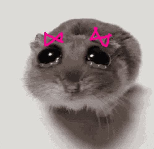 Sad Hamster With Bow Violin Hamster Girl GIF