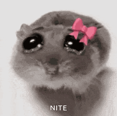 Sadhamstergirl GIF