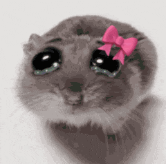 Sadhamstergirl GIF