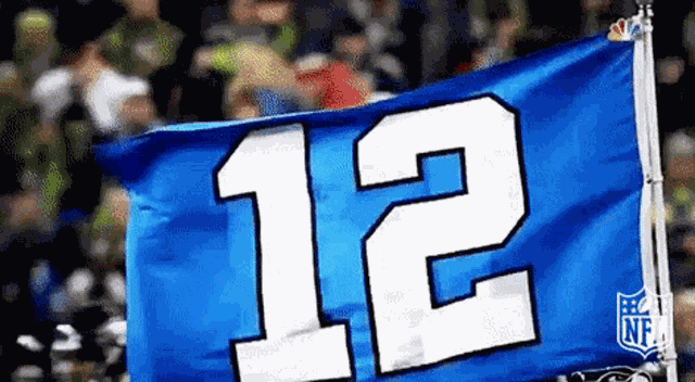Seahawks Seattle GIF