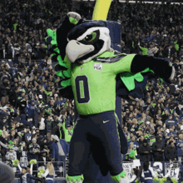 Seattle Seahawks Mascot Go GIF