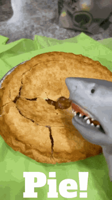 Shark Puppet Pie GIF