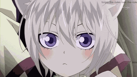 Shiideraii GIF