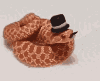 Snake Gentleman GIF