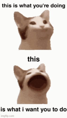 Start-talking-cat GIF