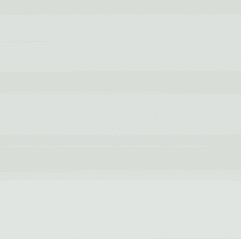 The Cat Is Spinning Spin Cat GIF