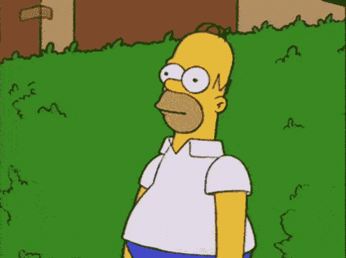 The Simpsons Homer Simpson GIF
