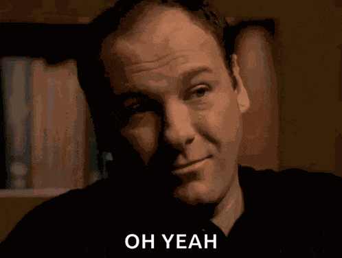 The Sopranos Tony Soprano GIF