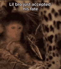 Trizzy Trizzy019 GIF