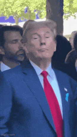 Trump Donald Trump GIF