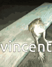 Vincent Vincent Frog GIF