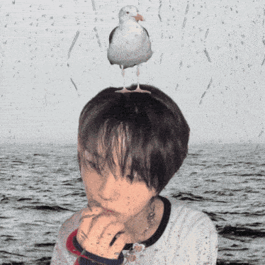 Wishpilled Nct Wish Jaehee GIF