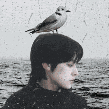 Wishpilled Nct Wish Riku GIF