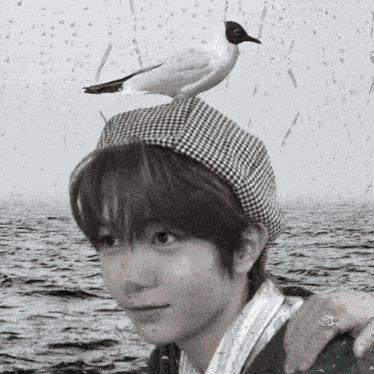 Wishpilled Nct Wish Ryo GIF