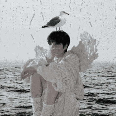 Wishpilled Nct Wish Sakuya GIF