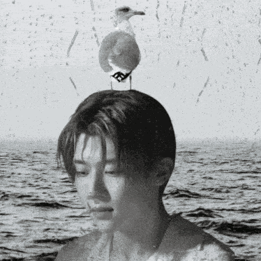 Wishpilled Nct Wish Sion GIF