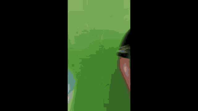 Ygor Catatau Cassio Gabriel GIF